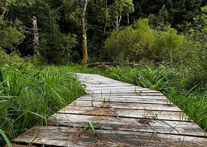 Jasanek * Železná Ruda